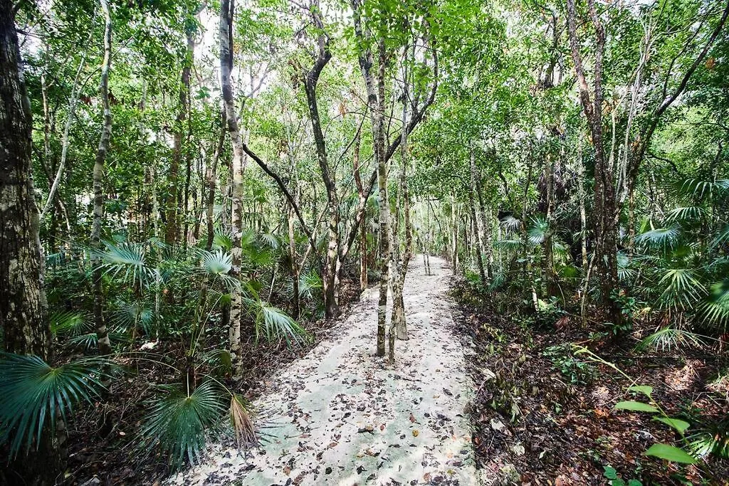 Tribu 205 Magical 1Br Apt Minutes From The Sea 50Mb Wifi Tulum